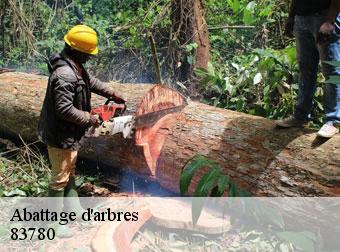 Abattage d'arbres 83780