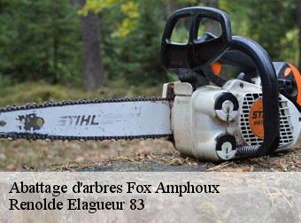 Abattage d'arbres fox-amphoux-83670 Renolde Elagueur 83