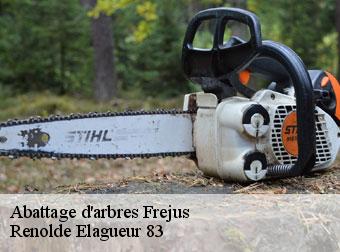 Abattage d'arbres  frejus-83600 Renolde Elagueur 83