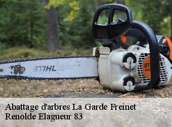 Abattage d'arbres la-garde-freinet-83680 Renolde Elagueur 83