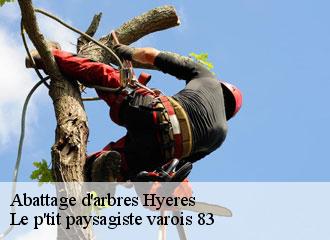 Abattage d'arbres hyeres-83400 Le p'tit paysagiste varois 83
