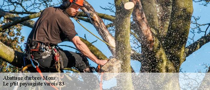 Abattage d'arbres  83440