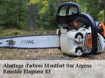 Abattage d'arbres  montfort-sur-argens-83570 Renolde Elagueur 83
