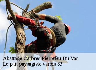 Abattage d'arbres  pierrefeu-du-var-83390 Le p'tit paysagiste varois 83