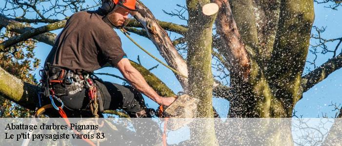 Abattage d'arbres  83790