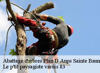 Abattage d'arbres plan-d-aups-sainte-baume-83640 Le p'tit paysagiste varois 83
