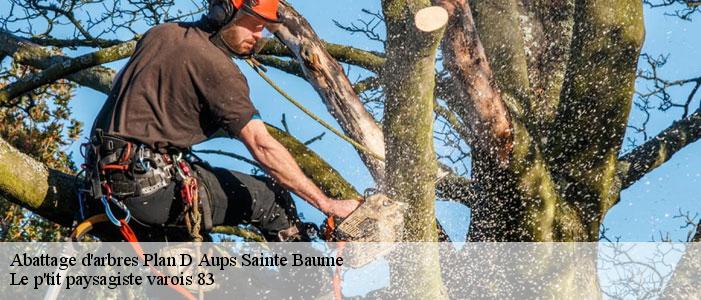 Abattage d'arbres 83640