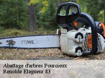 Abattage d'arbres pourcieux-83470 Renolde Elagueur 83