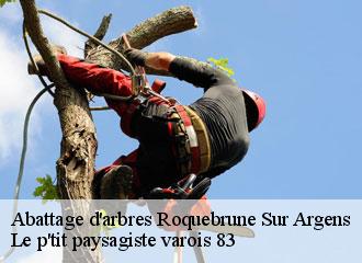 Abattage d'arbres roquebrune-sur-argens-83520 Le p'tit paysagiste varois 83