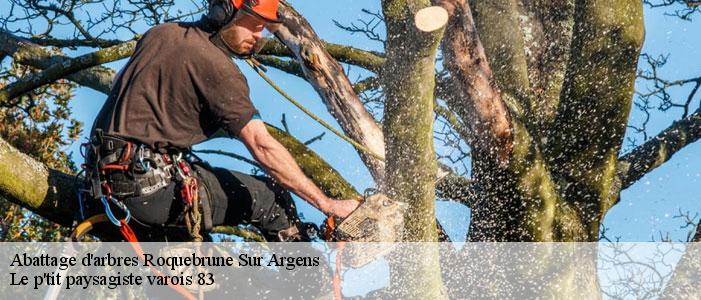 Abattage d'arbres 83520