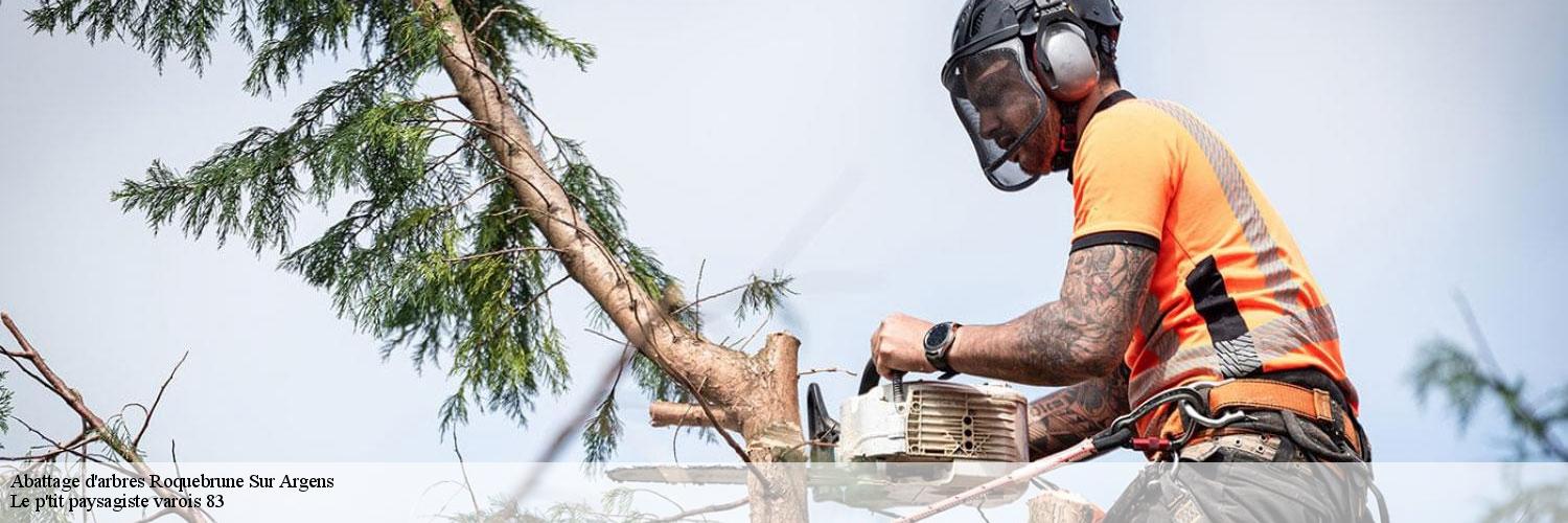 Abattage d'arbres 83520