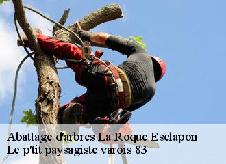 Abattage d'arbres la-roque-esclapon-83840 Le p'tit paysagiste varois 83