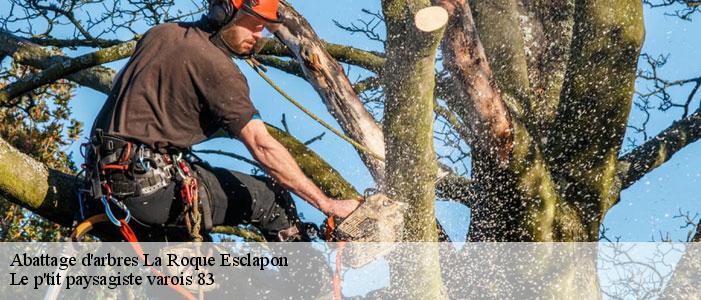Abattage d'arbres 83840