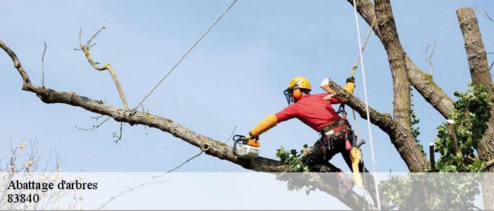 Abattage d'arbres 83840