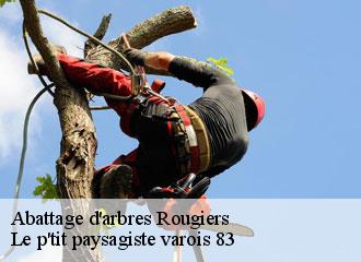 Abattage d'arbres  rougiers-83170 Le p'tit paysagiste varois 83 