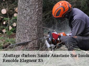 Abattage d'arbres 83136