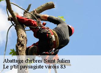 Abattage d'arbres saint-julien-83560 Le p'tit paysagiste varois 83