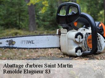 Abattage d'arbres saint-martin-83560 Renolde Elagueur 83