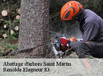 Abattage d'arbres 83560