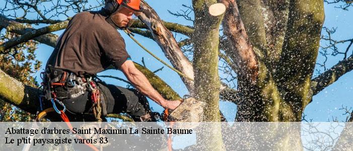 Abattage d'arbres  83470