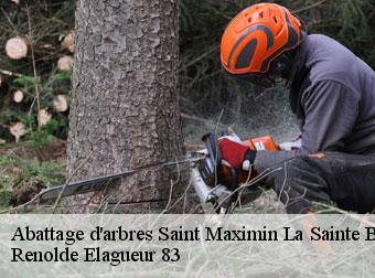 Abattage d'arbres 83470