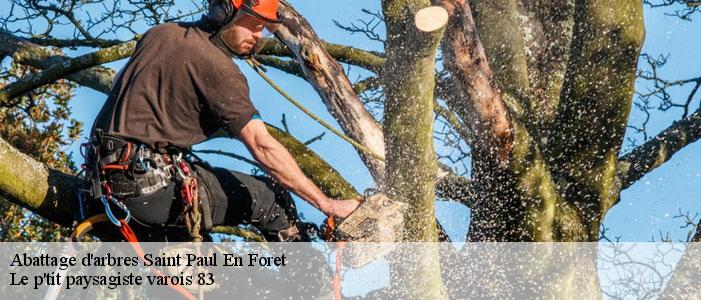 Abattage d'arbres  83440