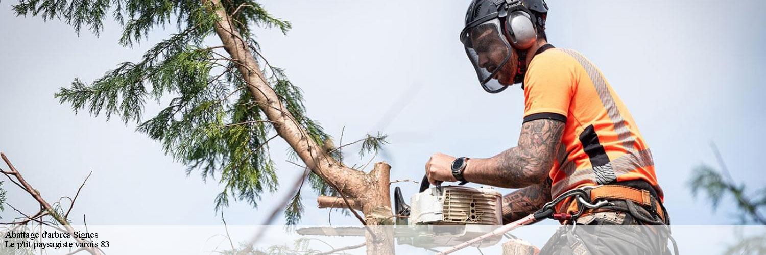 Abattage d'arbres 83870