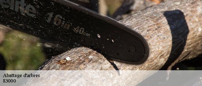 Abattage d'arbres 83000