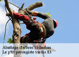 Abattage d'arbres  vidauban-83550 Le p'tit paysagiste varois 83 