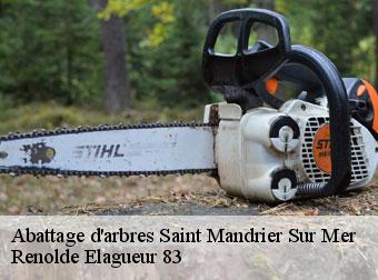 Abattage d'arbres saint-mandrier-sur-mer-83430 Renolde Elagueur 83