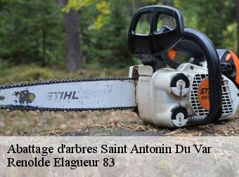 Abattage d'arbres saint-antonin-du-var-83510 Renolde Elagueur 83