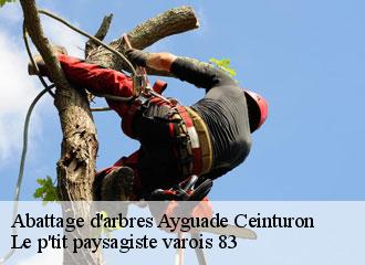 Abattage d'arbres  ayguade-ceinturon-83400 Le p'tit paysagiste varois 83