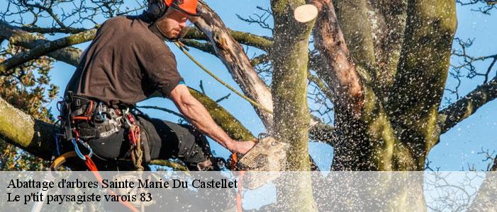 Abattage d'arbres  83330