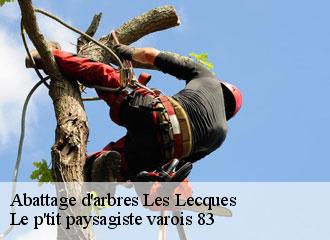 Abattage d'arbres  les-lecques-83270 Le p'tit paysagiste varois 83