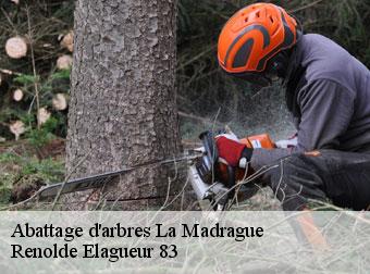 Abattage d'arbres 83270