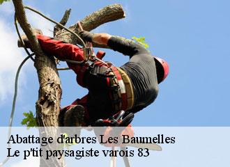 Abattage d'arbres les-baumelles-83270 Le p'tit paysagiste varois 83