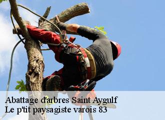 Abattage d'arbres saint-aygulf-83370 Le p'tit paysagiste varois 83