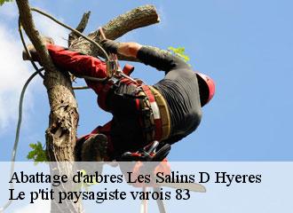 Abattage d'arbres les-salins-d-hyeres-83400 Le p'tit paysagiste varois 83