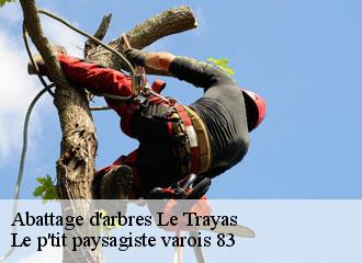 Abattage d'arbres le-trayas-83700 Le p'tit paysagiste varois 83