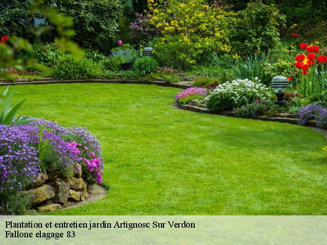 Plantation et entretien jardin  artignosc-sur-verdon-83630 Fallone elagage 83