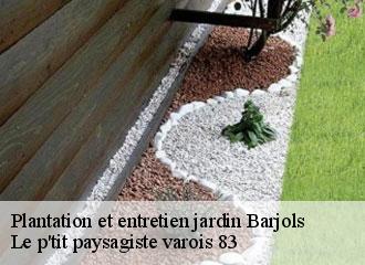 Plantation et entretien jardin  barjols-83670 Le p'tit paysagiste varois 83