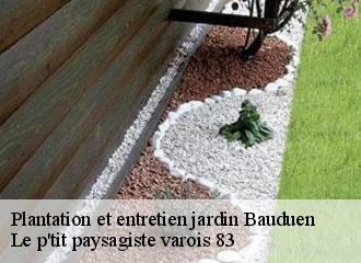 Plantation et entretien jardin  bauduen-83630 Le p'tit paysagiste varois 83