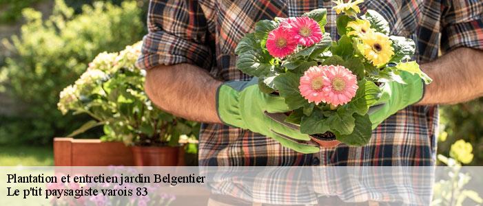 Plantation et entretien jardin  83210