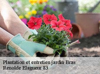 Plantation et entretien jardin bras-83149 Renolde Elagueur 83
