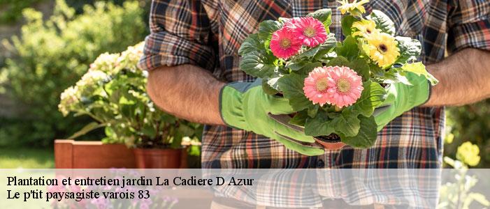 Plantation et entretien jardin 83740