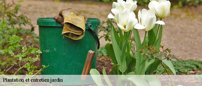 Plantation et entretien jardin 83570