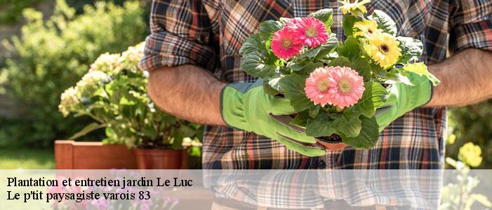 Plantation et entretien jardin 83340