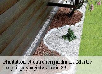 Plantation et entretien jardin la-martre-83840 Le p'tit paysagiste varois 83