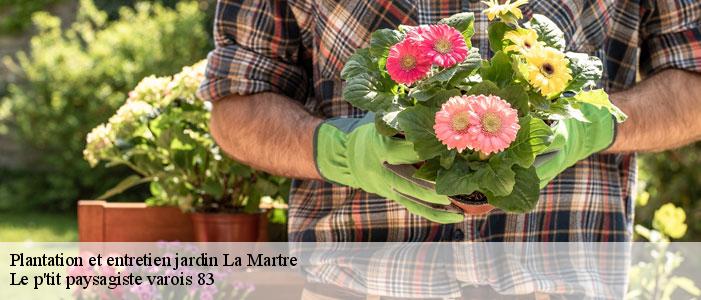 Plantation et entretien jardin 83840