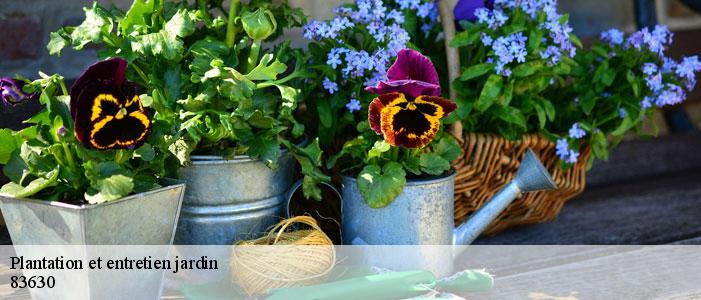 Plantation et entretien jardin 83630